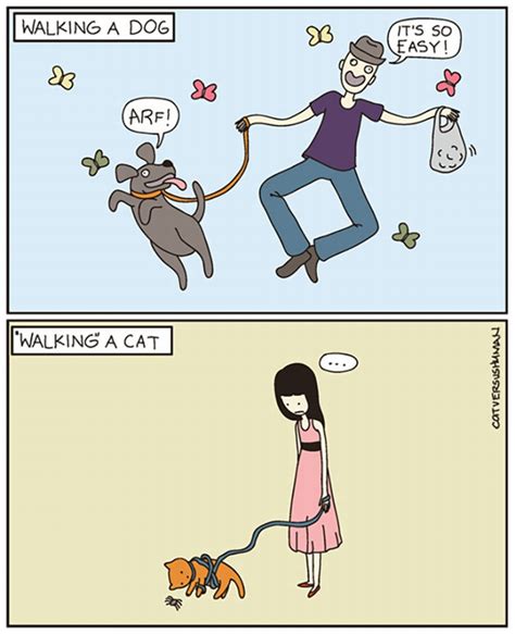20 Hilarious Memes Showing Cat And Dog Differences