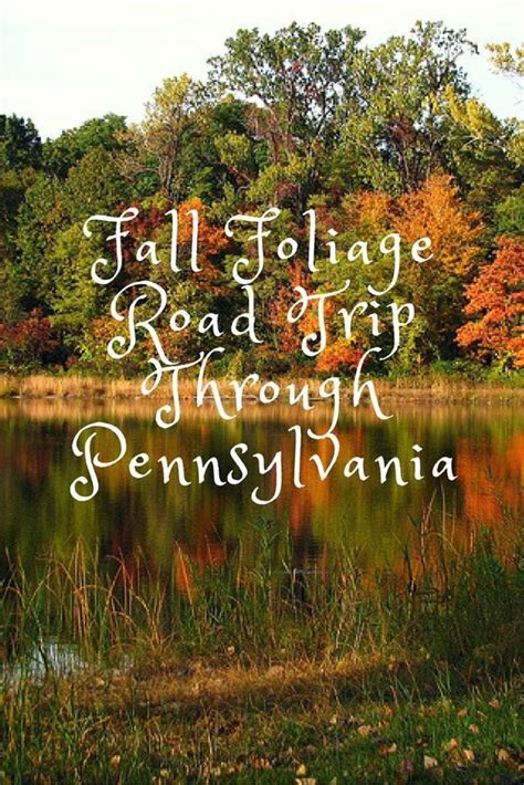 Take A Beautiful Fall Foliage Road Trip To See