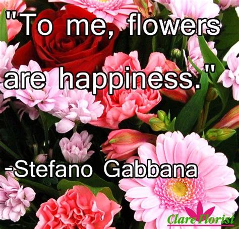 The One Love Bouquet Forms The Background To This Quote By Stefano