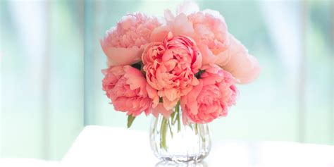 Every year around this time of the year, searching for a single happy. 12 Best Flowers for Valentine's Day - Popular Roses ...