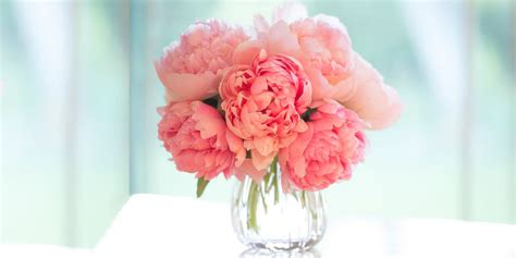 We did not find results for: 12 Best Flowers for Valentine's Day - Popular Roses ...