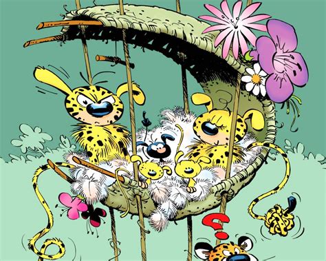 Marsupilami Cartoon New Hd Wallpapers High Quality All Hd Wallpapers