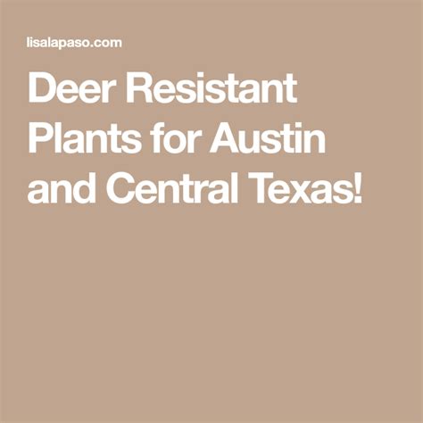· over fertilized and over watered plants are particularly lush and. Deer Resistant Plants for Austin and Central Texas! | Deer ...