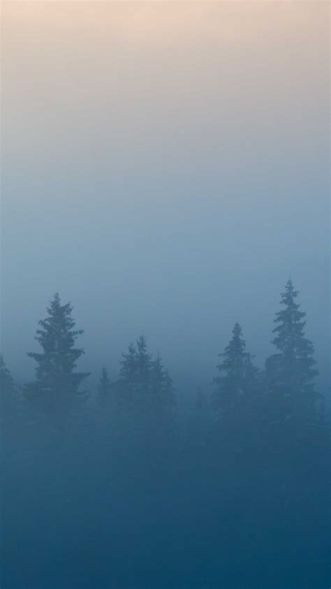 Minimal Mist Nature Trees Iphone Wallpaper Iphone Wallpapers Iphone