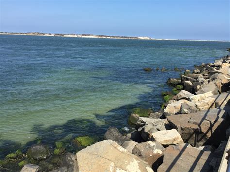 The 15 Best Things To Do In Long Beach Island Updated 2020 Must See