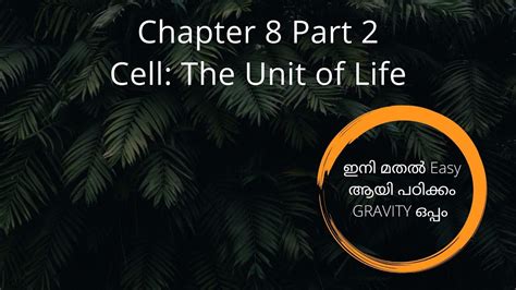 Cell The Unit Of Life Plus One Botany Focus Area Chapter 5