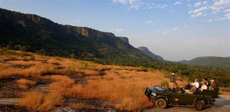 Bandhavgarh National Park India Luxe And Intrepid Asia Remote Lands