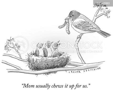 Baby Bird Leaving The Nest Clip Art