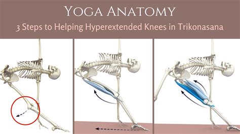 Yoga Anatomy 3 Steps To Helping Hyperextended Knees In Trikonasana