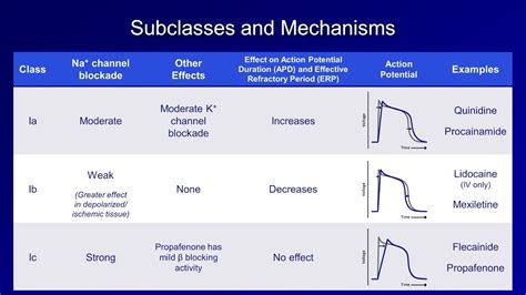 Antiarrhythmics Lesson 2 Sodium Channel Blockers Youtube