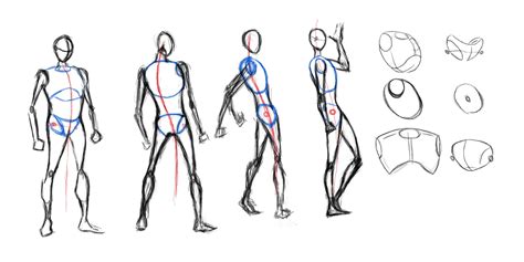 Basic Male Forms By TheSadaan Deviantart Com On DeviantArt Male Body Drawing Human Anatomy