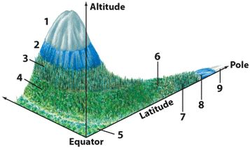 Latitude and longitude are the units that represent the coordinates at geographic coordinate system. latitude and elevation - Temperate Rain Forest
