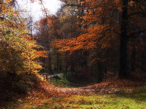 Autumn Landscape Photograph By Artecco Fine Art Photography