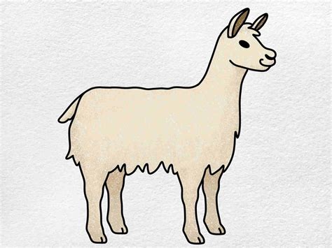llama drawing helloartsy