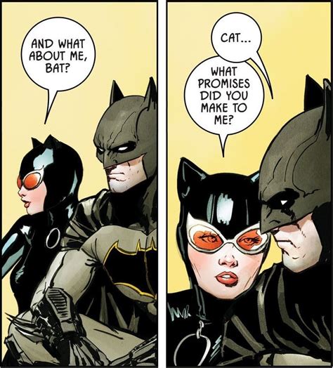 Comic Panels Depicting Batman And Catwoman Talking To Each Other