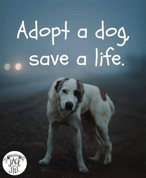 Pitbull Rescue Rescue Dogs Animal Rescue Animal Lover Quotes Dog