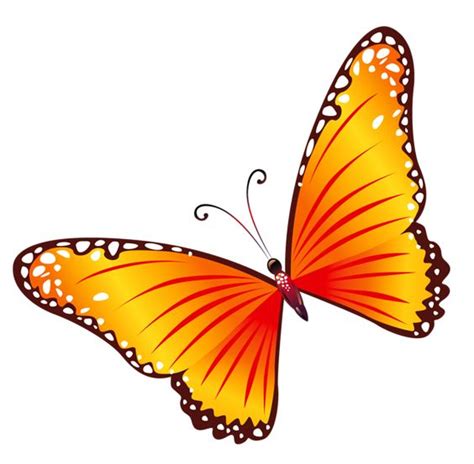 Orange Butterfly Clipart 20 Free Cliparts Download