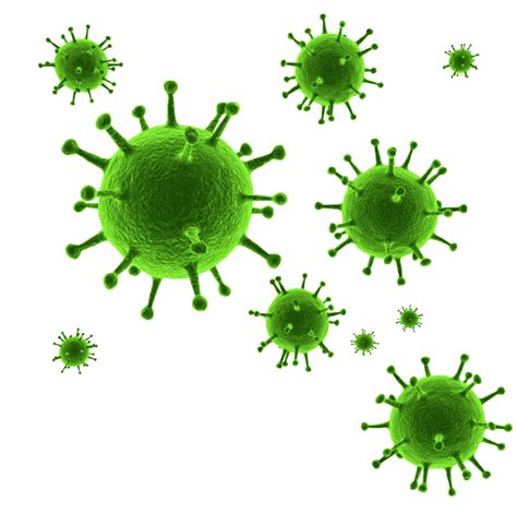 Virus Transparent Png All