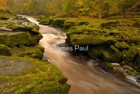 The Strid Bolton Abbey Wharfedale Yorkshire Dales By James Paul