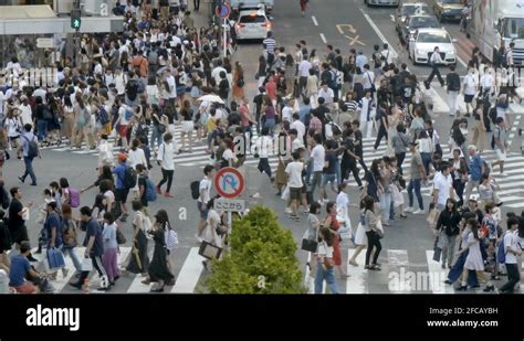 Large Crowd Of People Crossing An Intersection In Shibuya Ward Of Tokyo