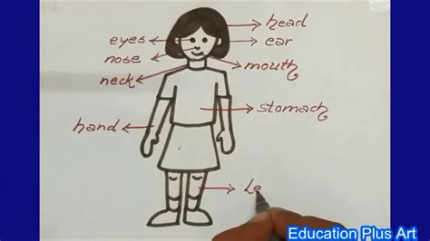 How To Draw Body Parts Youtube