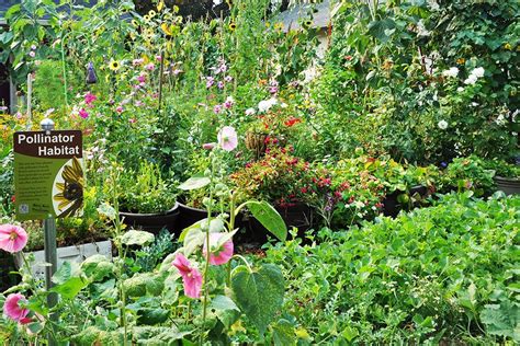 That's right, trees need bees too! Pollinator Garden: Give bees (and other pollinators) a ...
