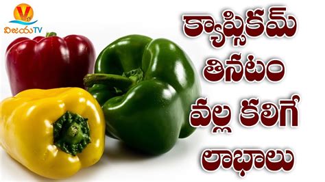 Capsicum Best Health Benefits In Telugu Capsicum Uses Health Tips In