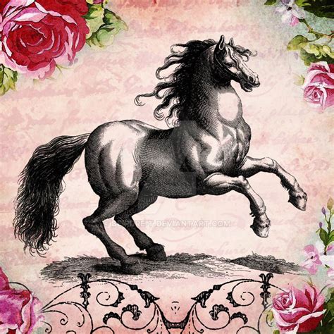 Vintage Horse Illustration By Deirdre T On Deviantart