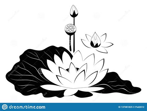 Download Lotus Flower With Leaves Black Silhouette. Stock Vector ...