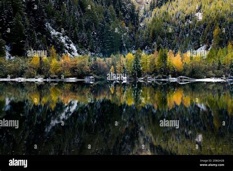 Reflection Of Autumn Forest At Lac De Derborence In Valais Stock Photo