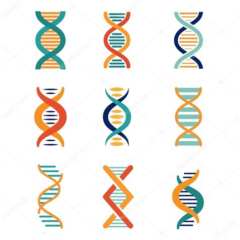 DNA Genetics Vector Icons Stock Vector TopVectors 82603422