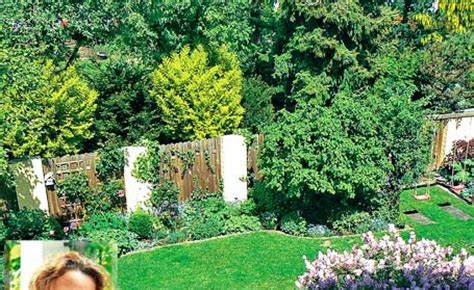 Wie ihr seht ist unser garten klein. Raffinierte Sichtschutz-Ideen unserer User | Bepflanzung ...