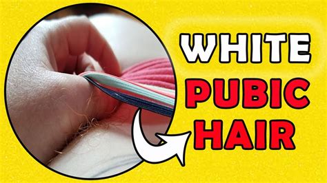 Reason Why Your Pubic Hair Might Turn Gray White Pubic Hair Youtube
