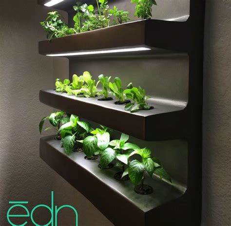 Wall Hanging Edn Grows Number Of Different Vegetables And Herbs