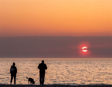 Pet Friendly Outer Banks Obx Vacation Rentals Twiddy