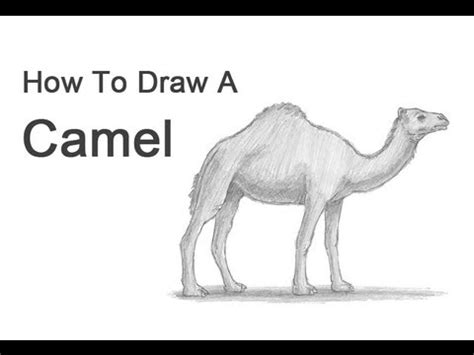 How to draw a camel. How to Draw a Camel - YouTube