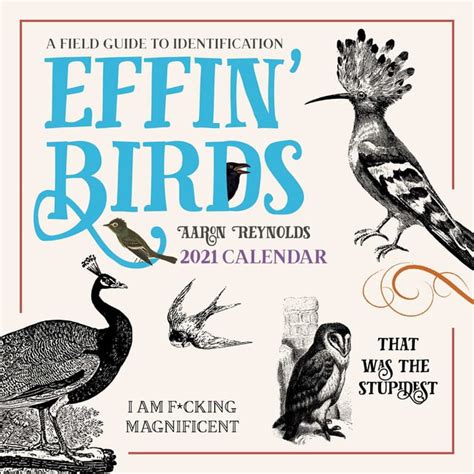 Effin Birds 2021 Wall Calendar A Field Guide To Identification
