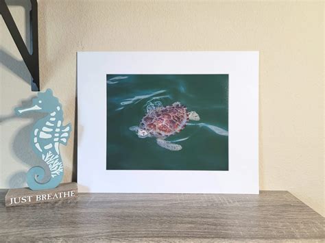 Heather Fields - Gallery Night Pensacola