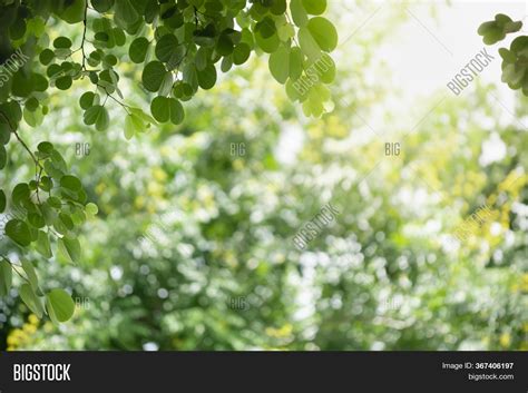 Beautiful Attractive Image And Photo Free Trial Bigstock