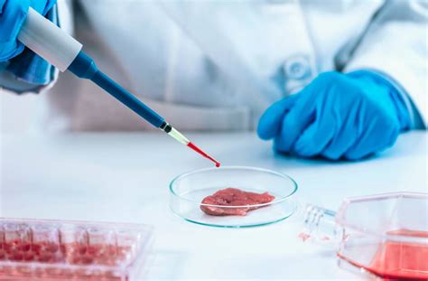 Israel Opens First Lab Grown Meat Factory In The World Bunbury Mail