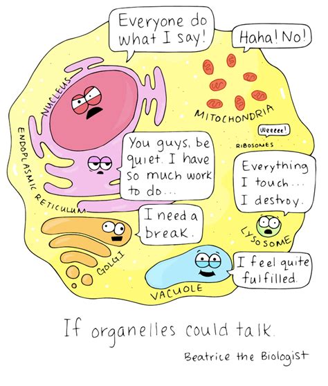 If Organelles Could Talk Beatrice The Biologist