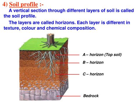 Ppt Chapter 9 Soil Powerpoint Presentation Free Download Id836817