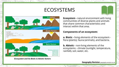 Gcse Ecosystem Tropical Rainforest Revision Ecosystem