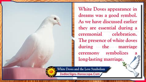 White Doves And The Love Symbolism Symbolism Of White Doves Zsh