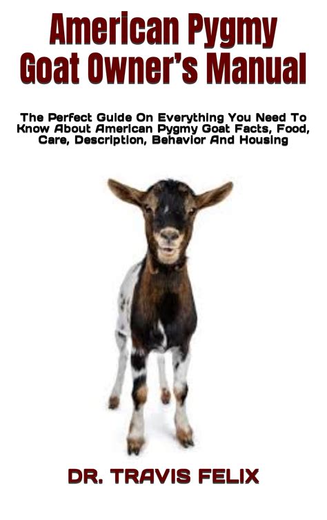 American Pygmy Goat Owners Manual The Perfect Guide On Everything