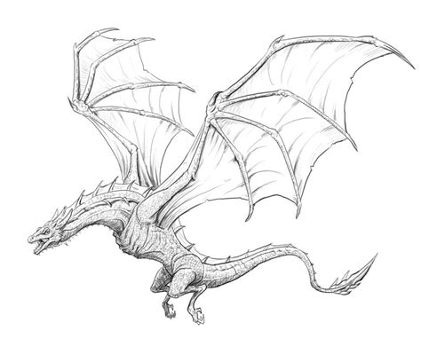 Cool Dragon Drawings Dragon Sketch Dragon Artwork Realistic Dragon