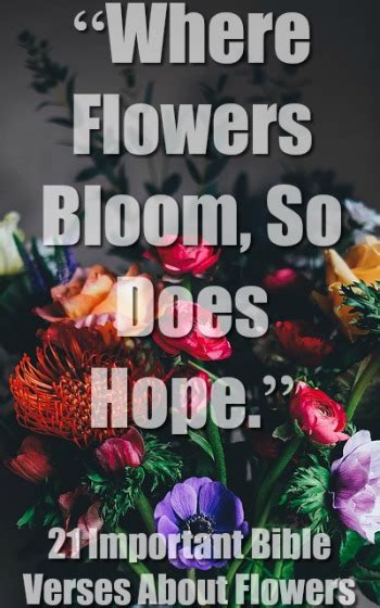 Like a flower he comes forth and withers. 21 Important Bible Verses About Flowers (Awesome Scriptures)