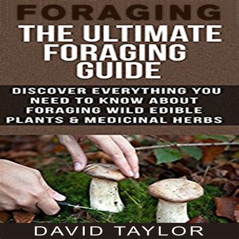 2017 Foraging The Ultimate Foraging Guide Discover Everything You