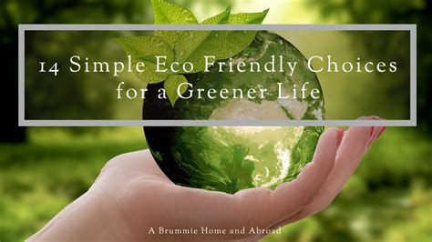 14 Simple Eco Friendly Choices For A Greener Life