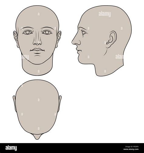 Hand Drawn Human Head In Face Profile And Top Views Flat Vector